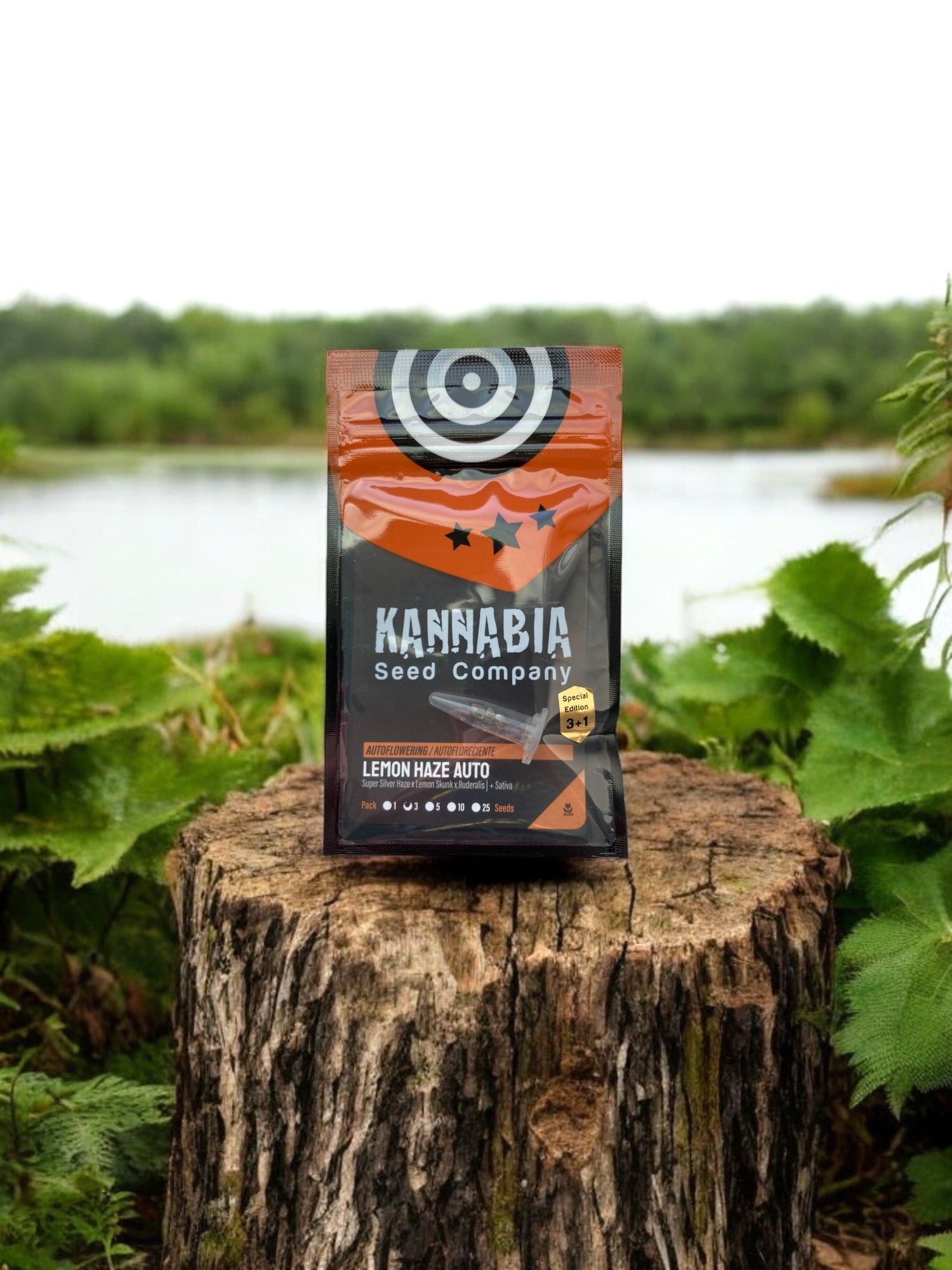 Lemon Haze Auto von Kannabia Seeds Packung auf einem Baumstamm
