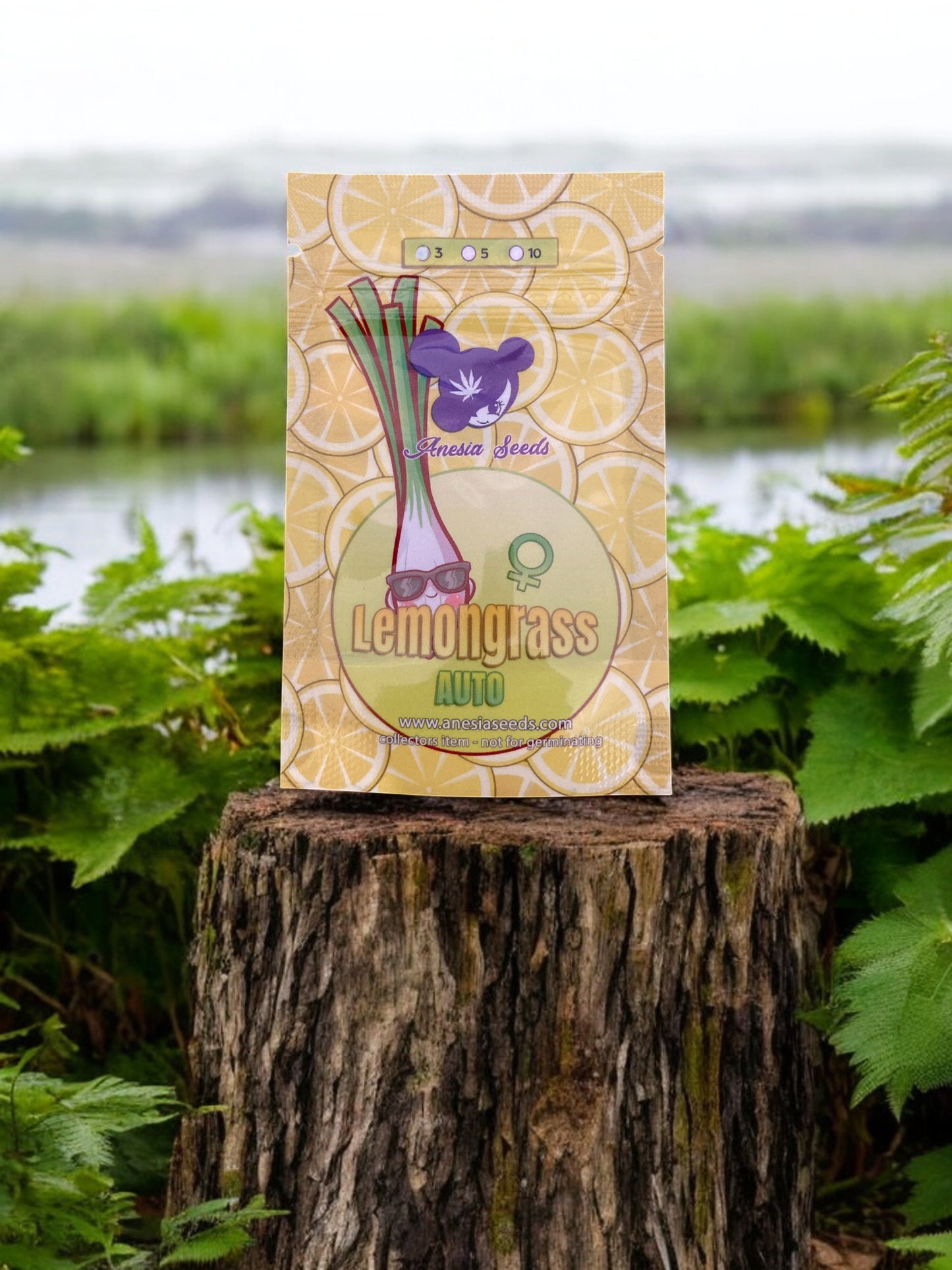 Lemongrass Auto Packung von Anesia Seeds auf einem Baumstamm