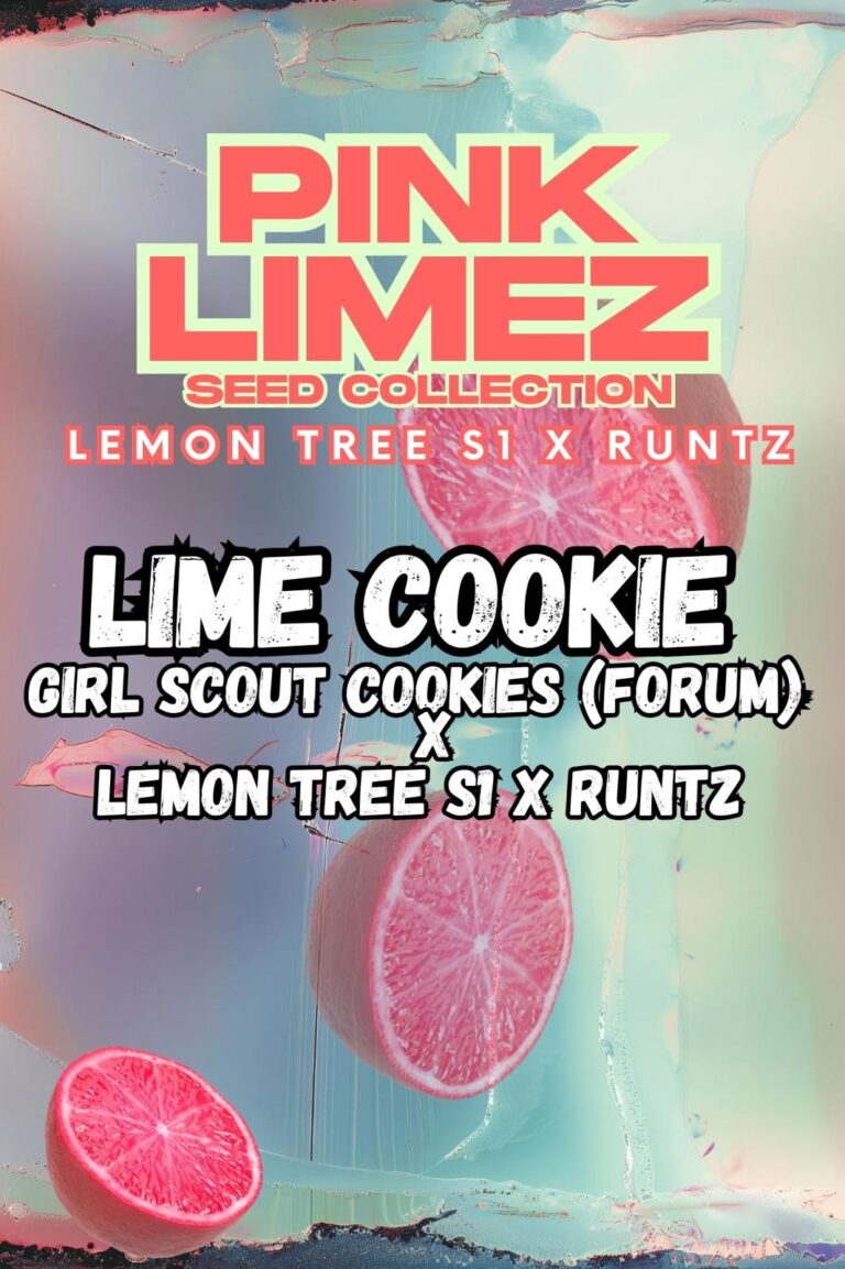 Lime Cookie Front Cover