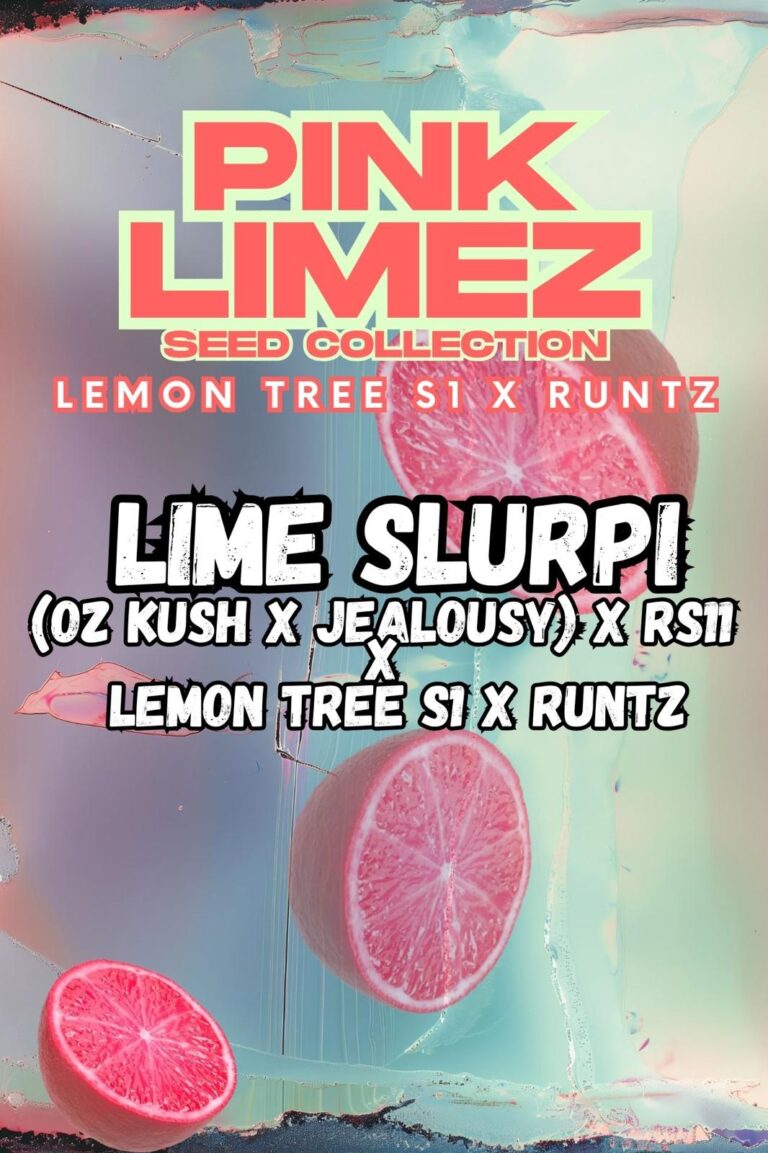 Lime Slurpi Front Cover