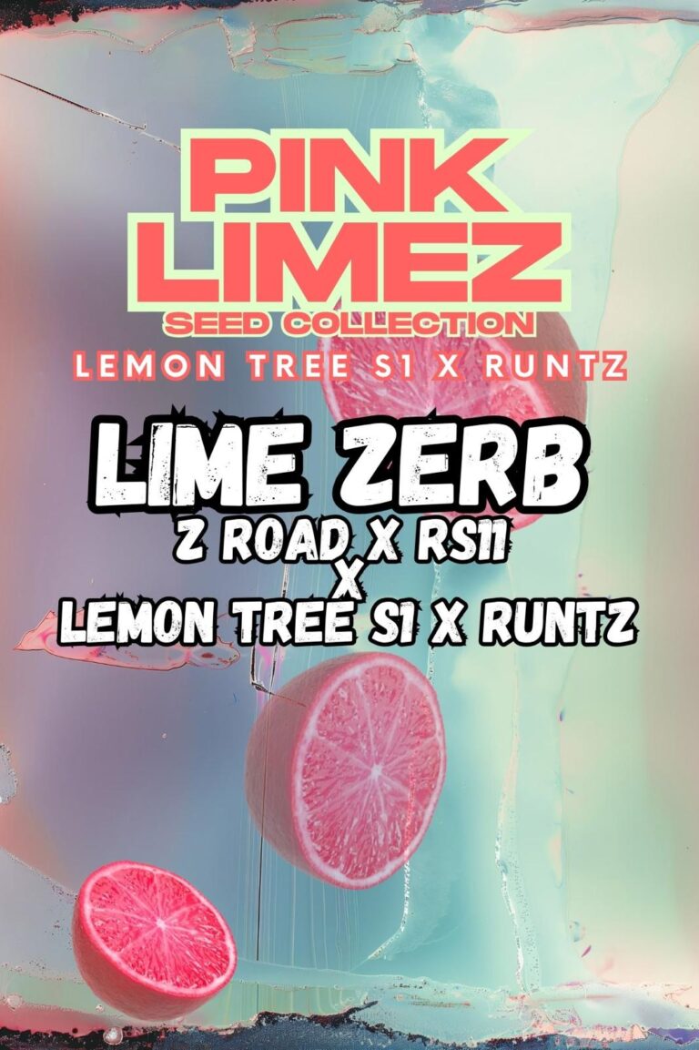 Lime Zerb Front Cover