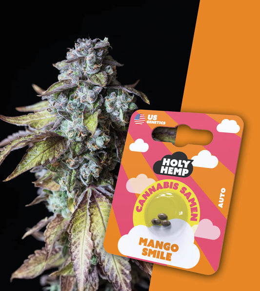 mango_smile_auto_flower