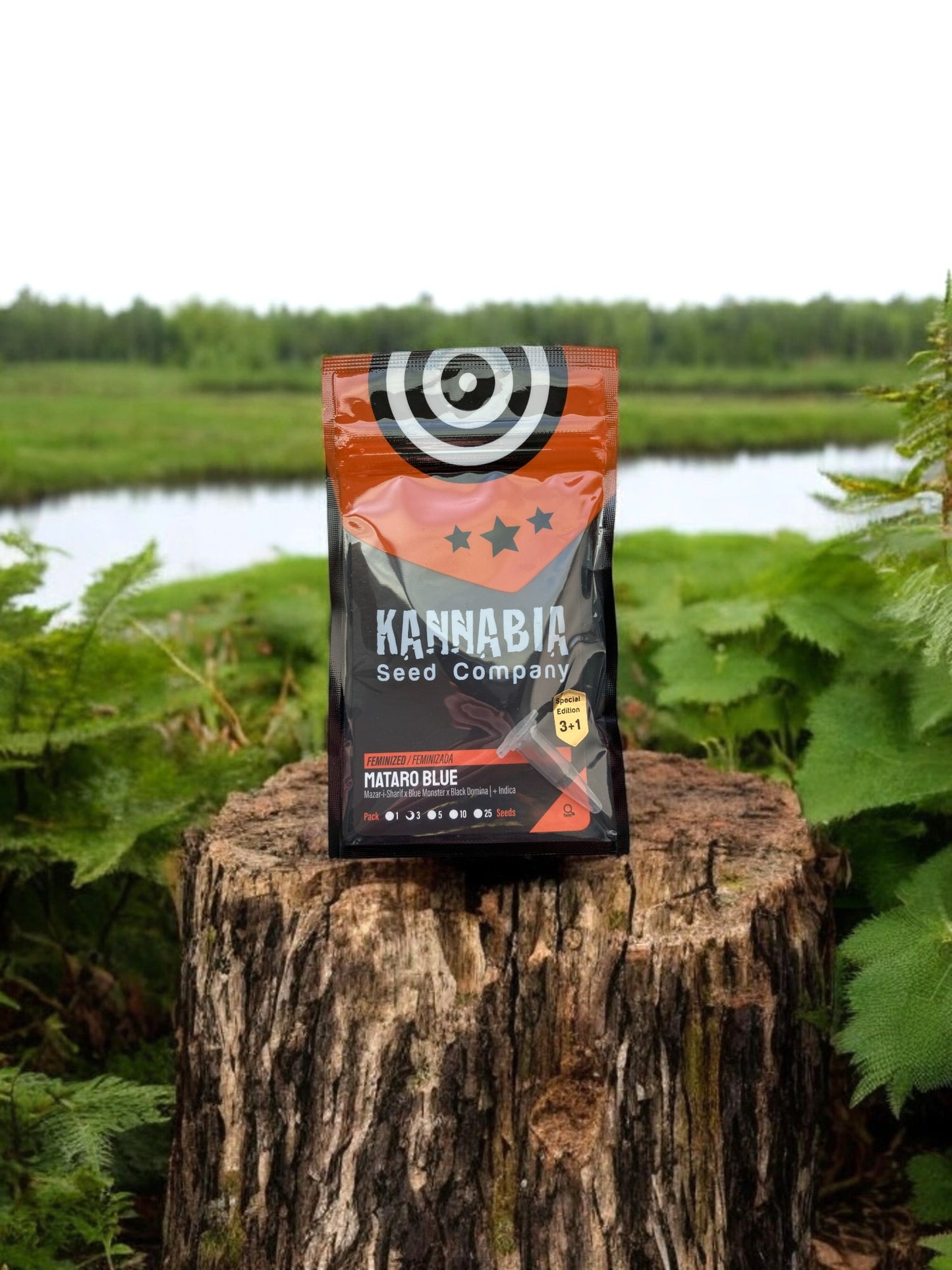 Mataro Blue von Kannabia Seeds Packung auf einem Baumstamm