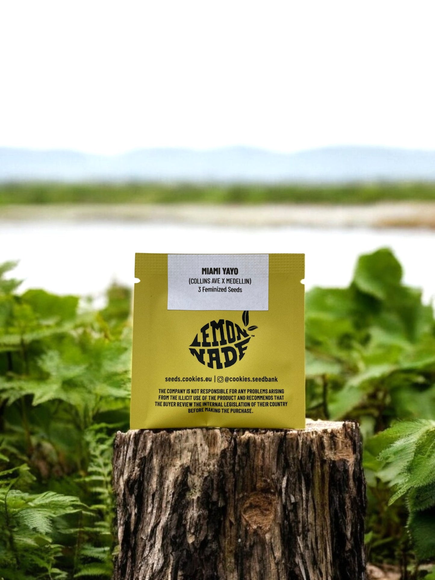 Miama Yayo von Cookies Seeds an einer Flusslandschaft mit Packung auf einem Baumstamm