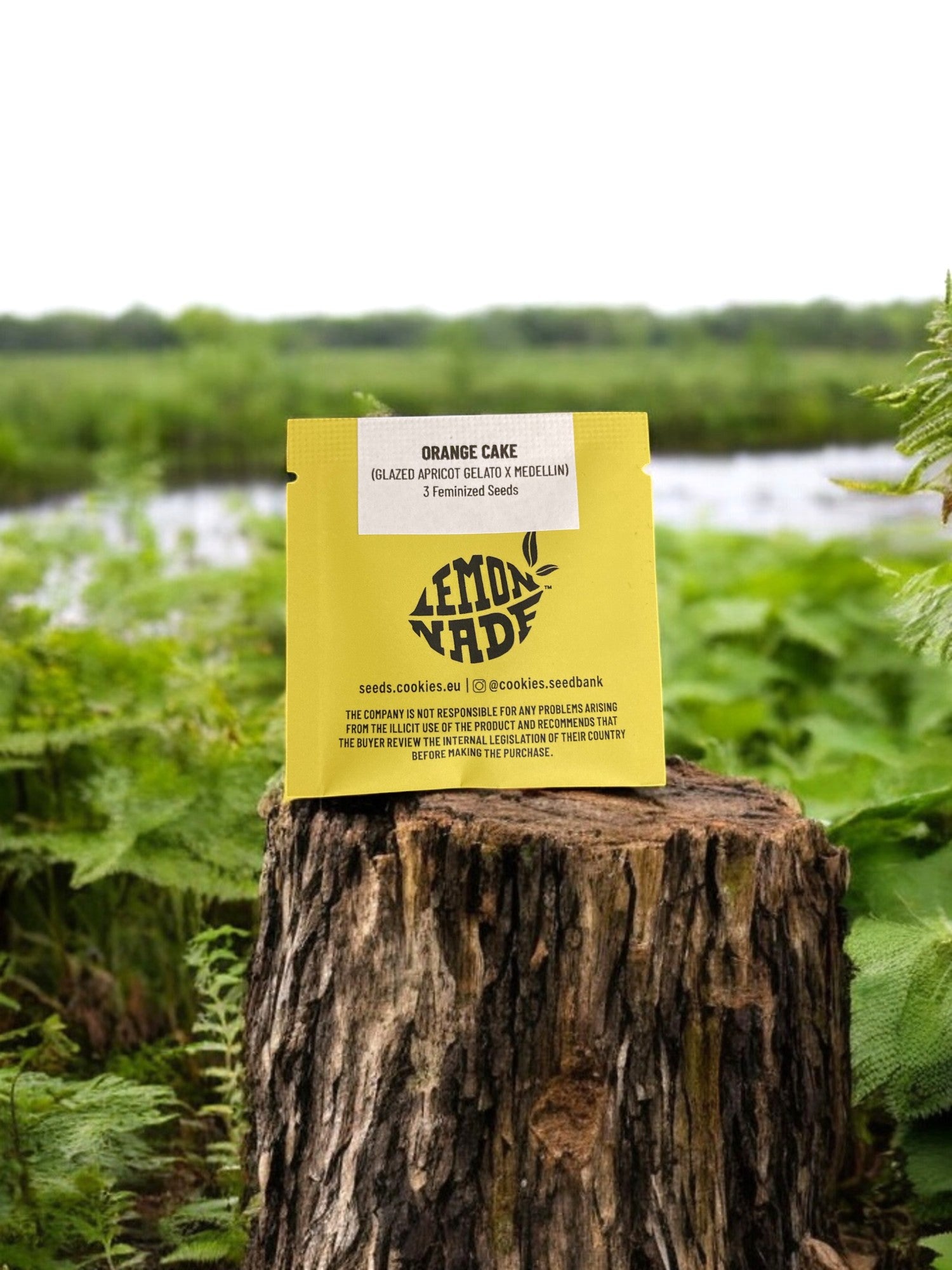 Orange Cake Packung von Cookies Seeds auf einem Baumstamm