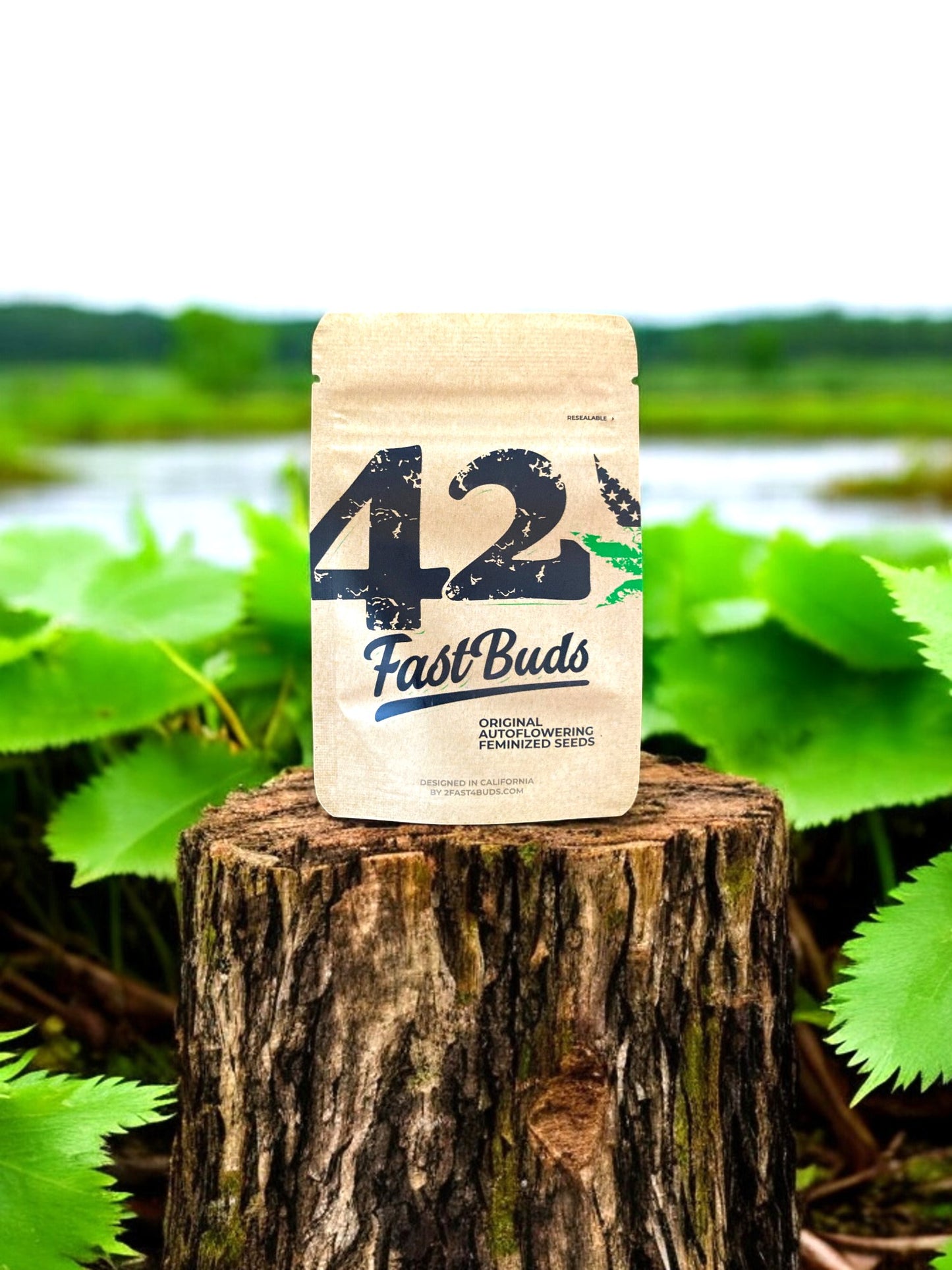 Original Autoflower Pack