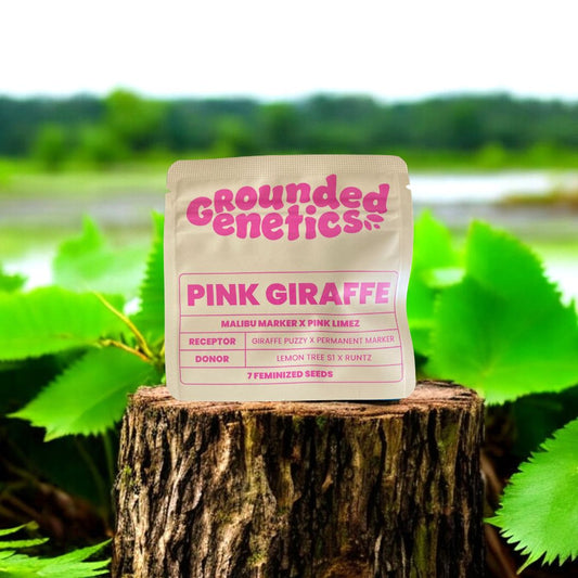 Pink Giraffe Seed Pack Grounded Genetics
