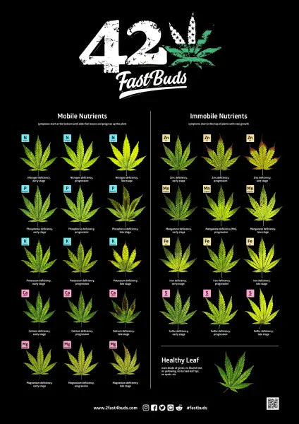 FastBuds Poster