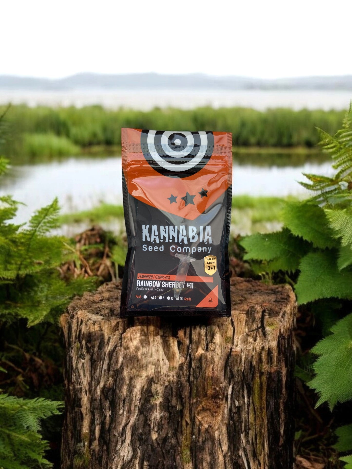 Rainbow Sherbet von Kannabia auf einem Baumstamm