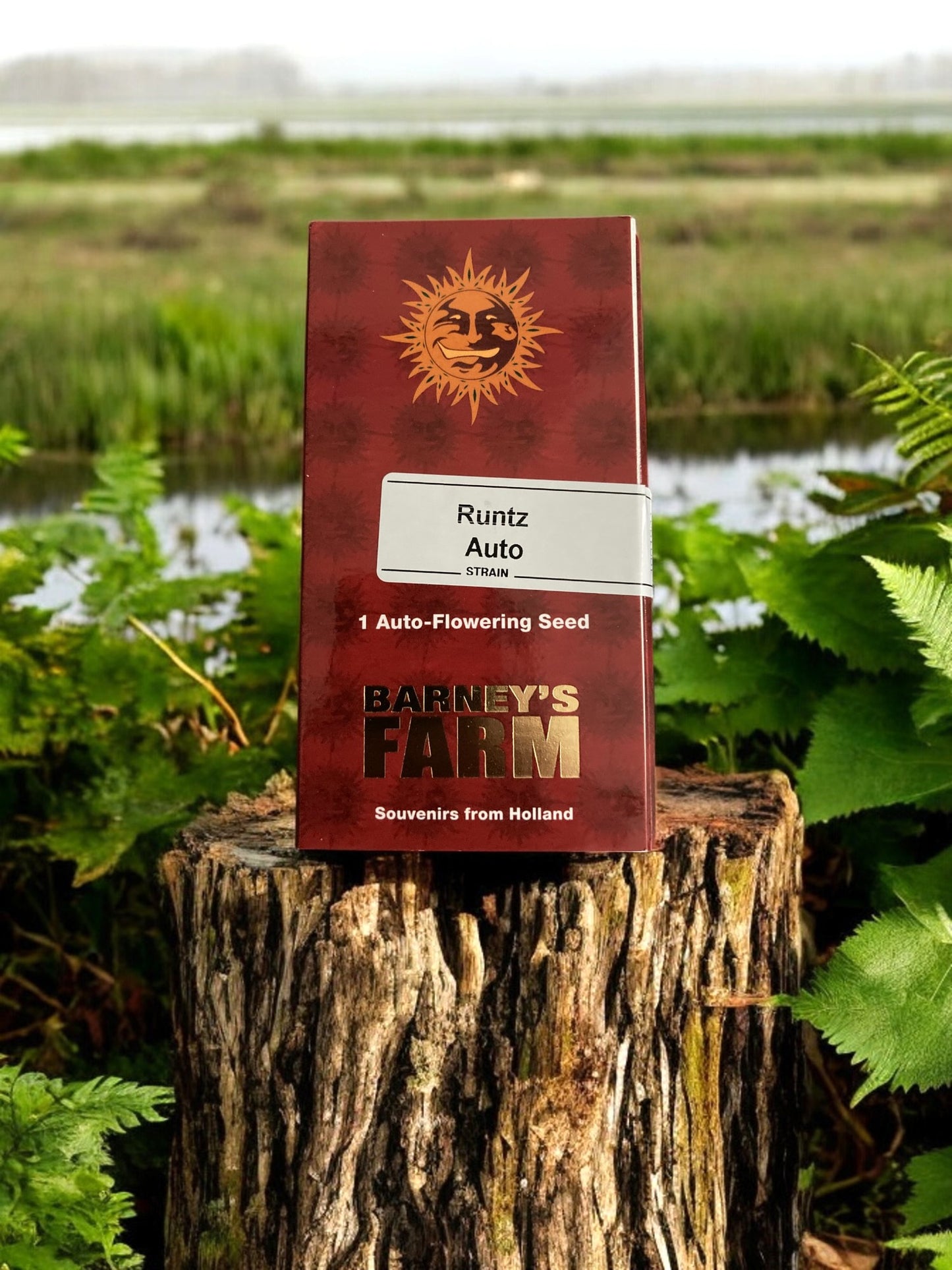 Runtz Auto Packung von Barneys Farm auf einem Baumstamm