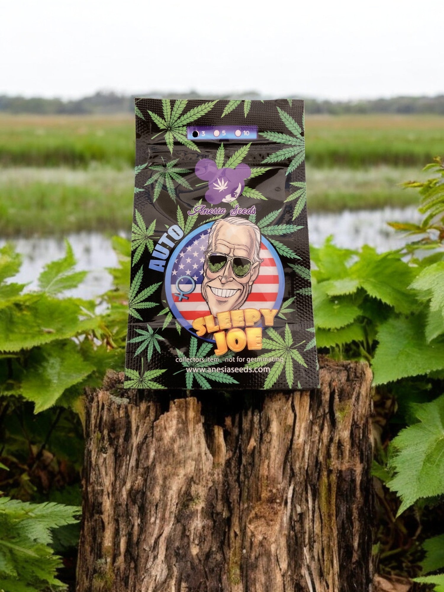 Sleepy joe Auto Packung von Anesia Seeds auf einem Baumstamm