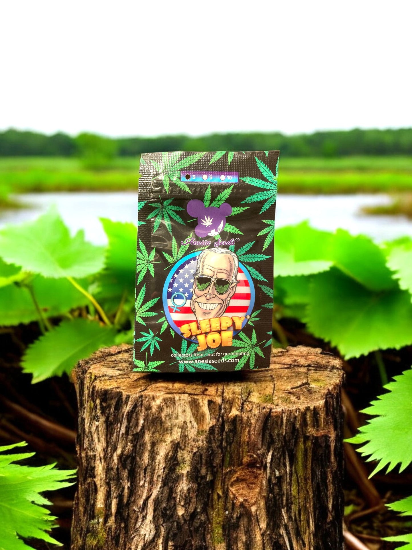 Sleepy Joe Packung von Anesia Seeds auf einem Baumstamm