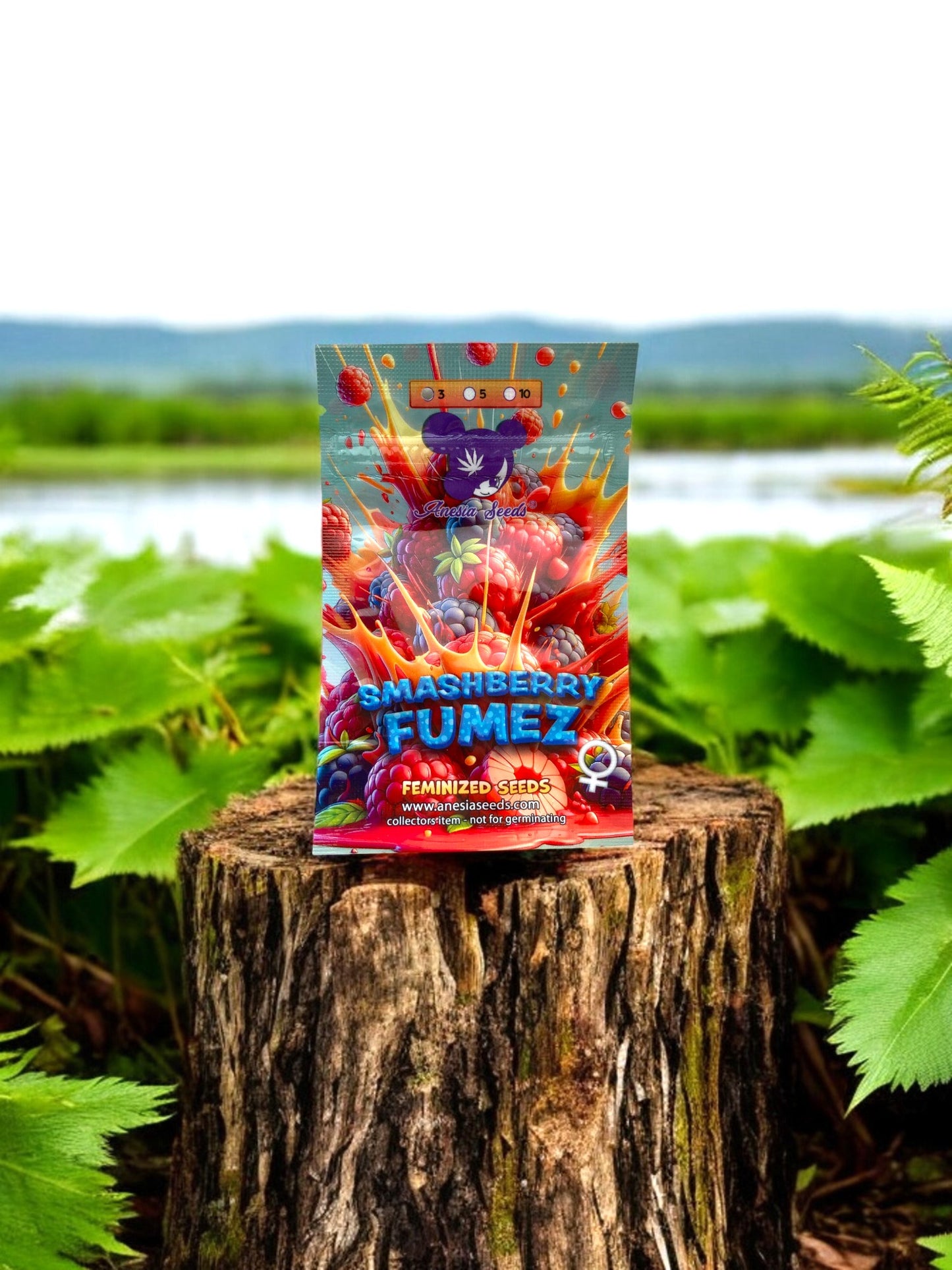 Smashberry Fumez Anesia Seeds auf einem Baumstamm