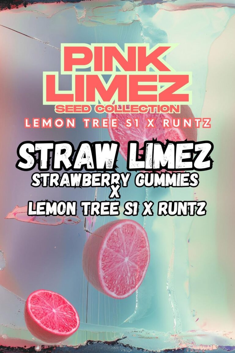 Straw Limez Front Cover