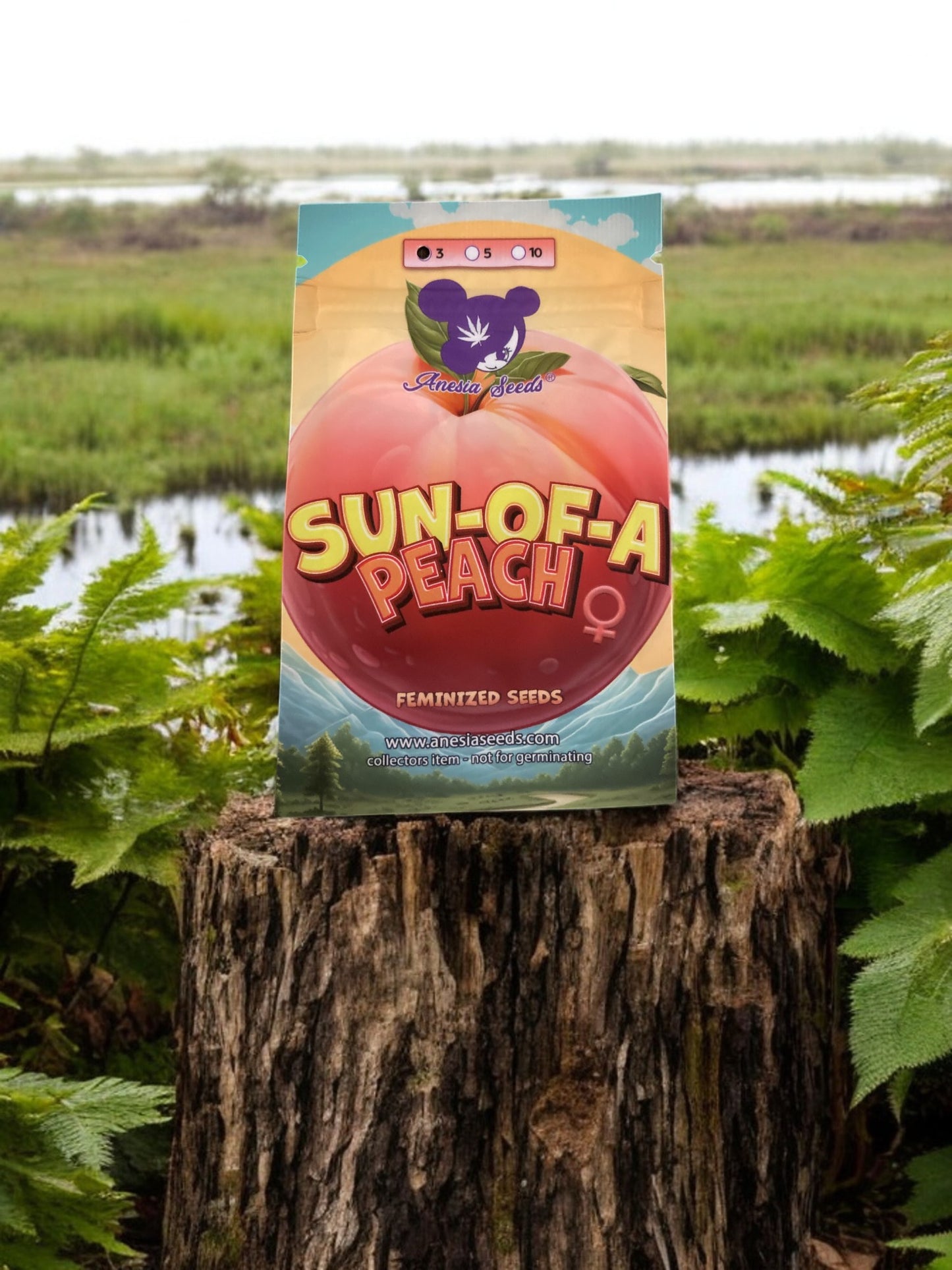 Sun of a Peach Packung von Anesia Seeds auf einem Baumstamm