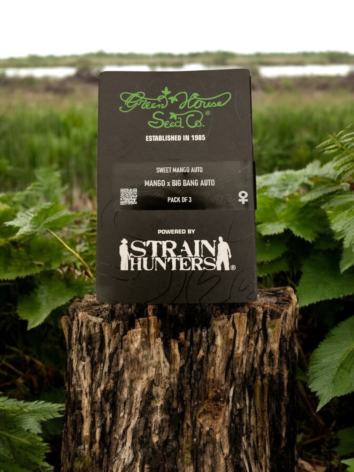 Sweet Mango Auto Packung auf einem Baumstamm von Green House Seeds