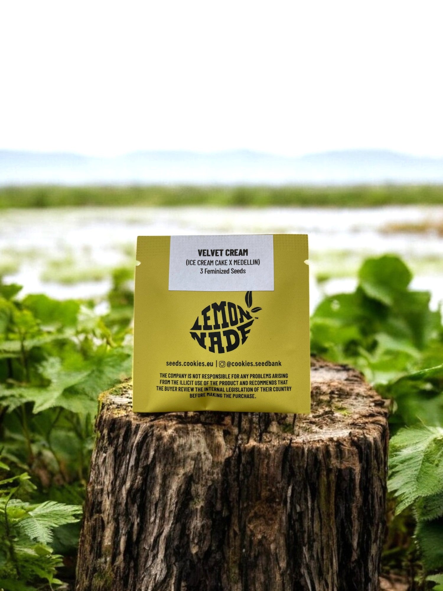 Velvet Cream Cookies Seeds Packung an einer Flusslandschaft auf einem Baumstamm