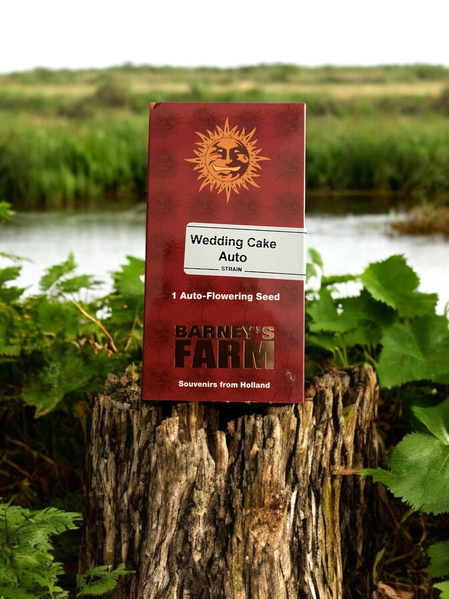 Wedding Cake Auto Packung auf einem Baumstamm - Barneys Farm