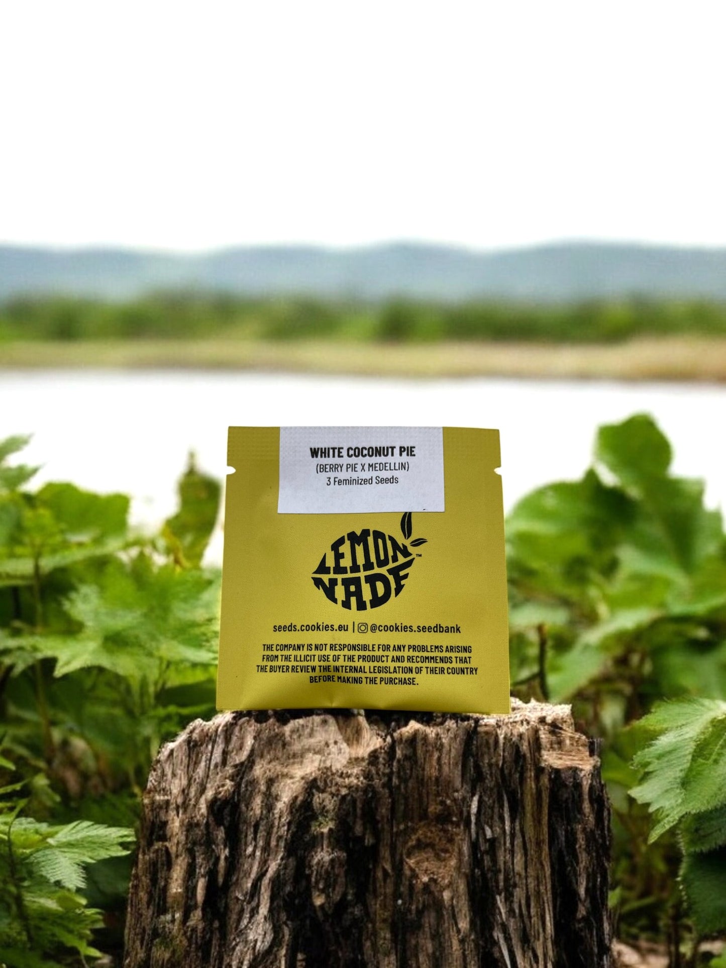 White Coconut Pie von Cookies Seeds Packung an einer Flusslandschaft auf einem Baumstamm