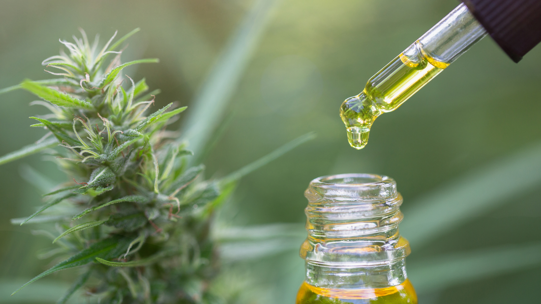 CBD Öl richtig anwenden