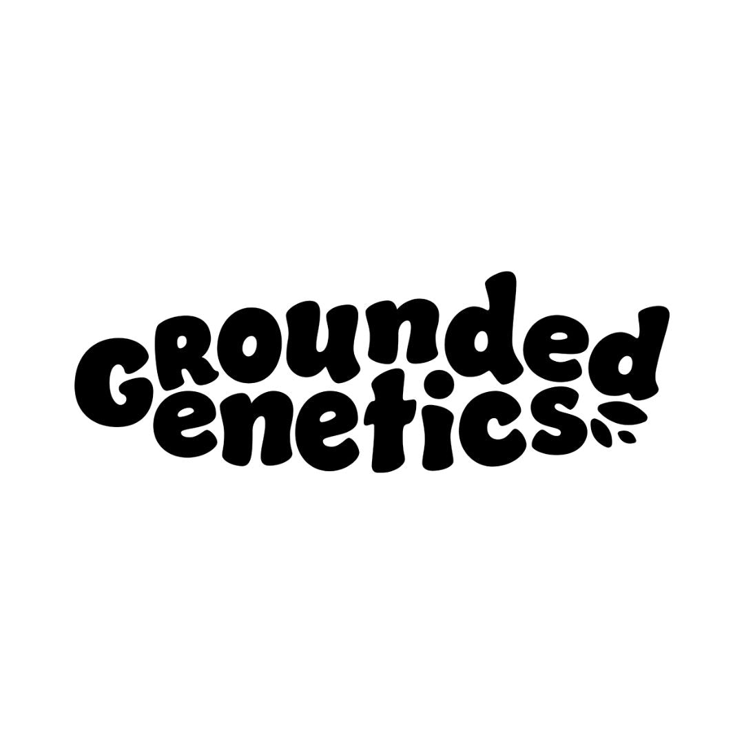 Grounded Genetics – Exklusive Cannabis Genetik bei Less Organix