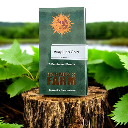 Acapulco Gold Seed Pack von Barneys Farm auf einem Baumstamm.