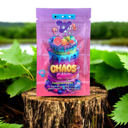 Chaos Cake Seed Pack auf einem Baumstamm