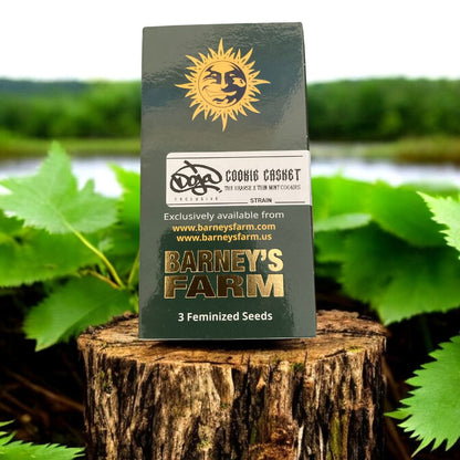 Cookie Casket von Barneys Farm x Doja Seed Pack auf einem Baumstamm