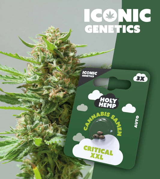 Critical xxl iconic genetics