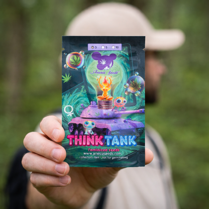 Think Tank Samen Pack Anesia Seeds