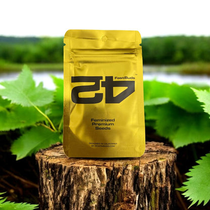 Feminized Premium Seeds - Fast Buds Pack auf einem Baumstamm