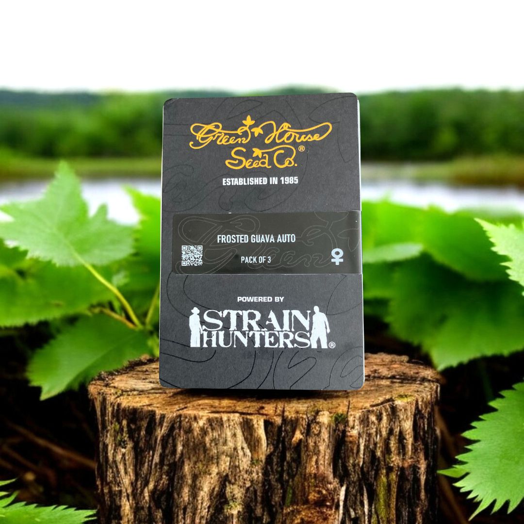 Frosted Guava Auto Seed Pack von Green House Seeds. Auf einem Baumstamm in der Natur.
