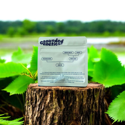 Lime OG Seed Pack Rückseite