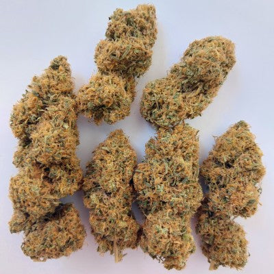 Magic Carrot Strain von Ace Seeds