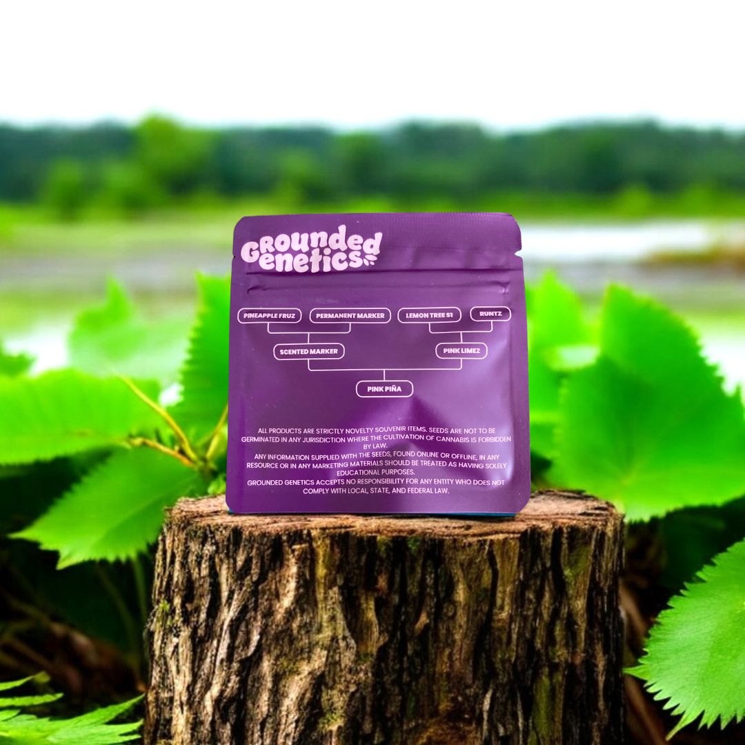 Pink Pina Rückseite Seed Pack von Grounded Genetics