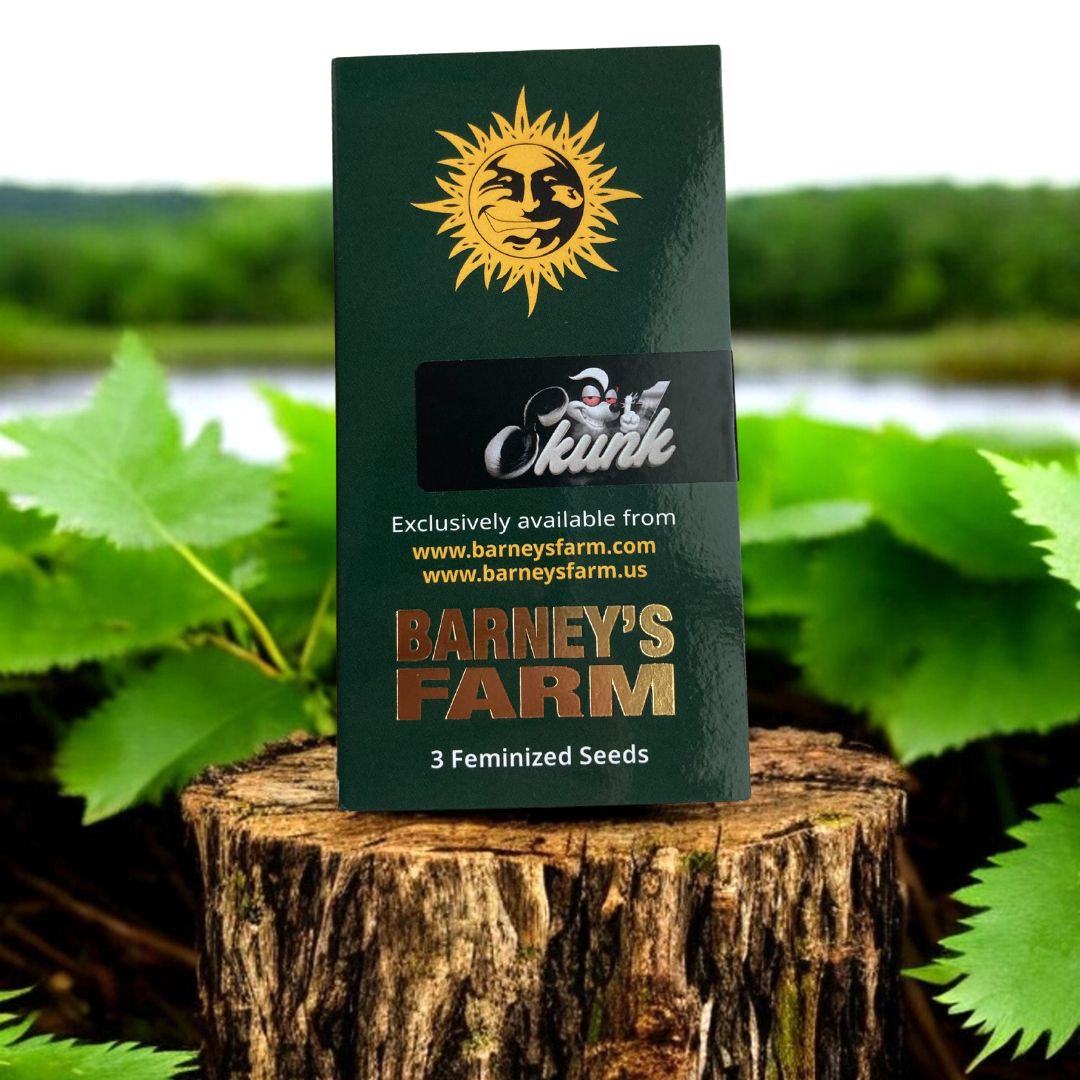 Skunk 1 Seeds von Barneys Farm