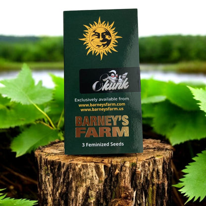 Skunk 1 Seeds von Barneys Farm