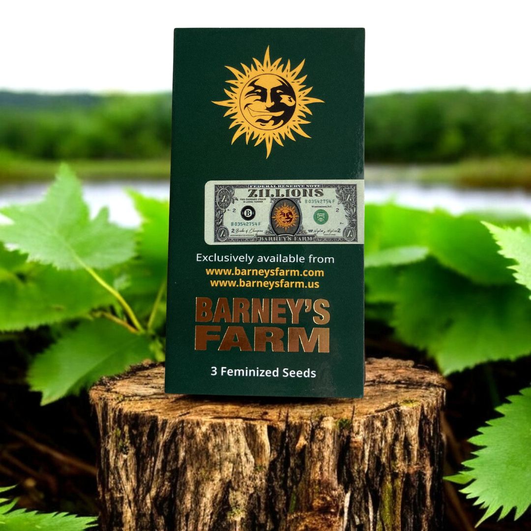 Zillions Seeds von Barneys Farm