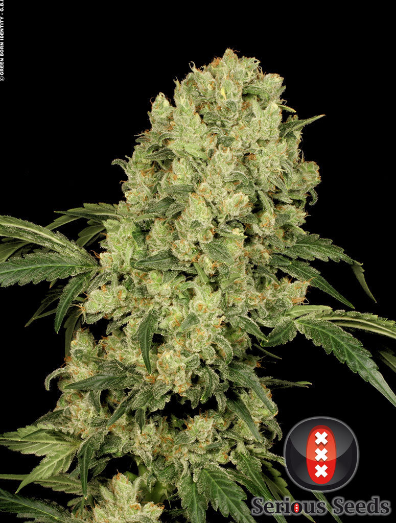 AK-47