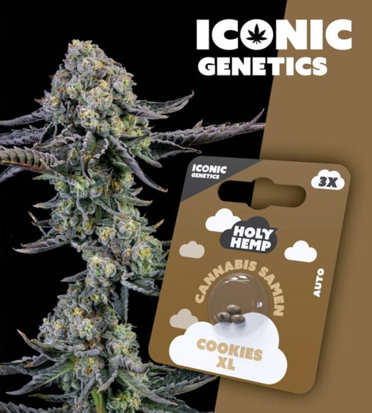 cookies_xl_front