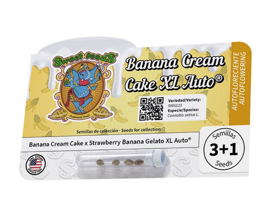 Banana Cream Cake XL Auto®