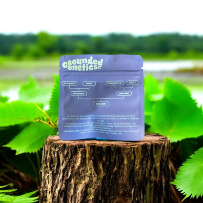 Blue Limez Rückseite Seed Pack von Grounded Genetics