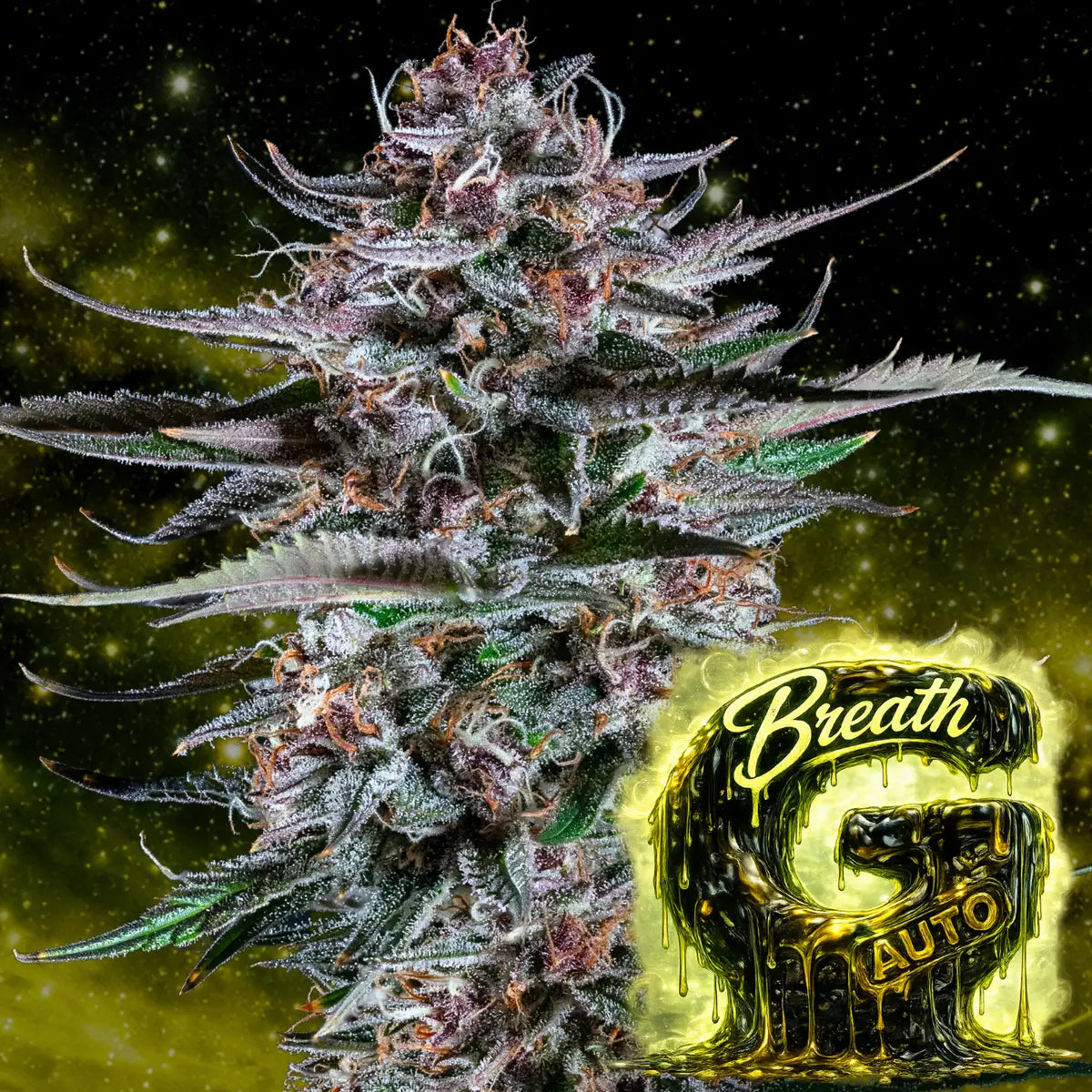 G Breath auto Headbud