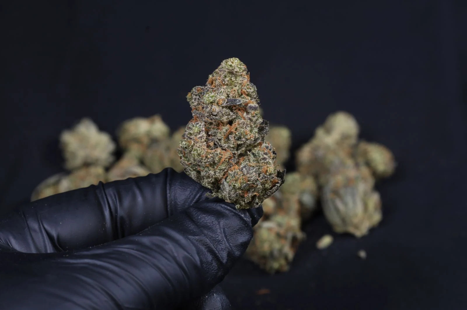 Guava Auto RF3 Fast Buds Bud