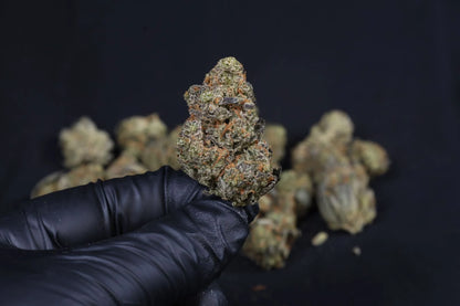Guava Auto RF3 Fast Buds Bud