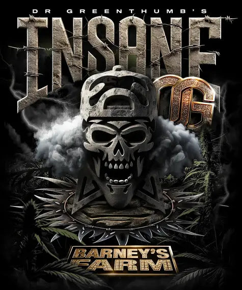 Insane OG - Dr. Greenthumbs x Barneys Farm - Cannabis Samen
