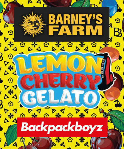 Lemon Cherry Gelato Feature - Backpackboyz x Barneys Farm