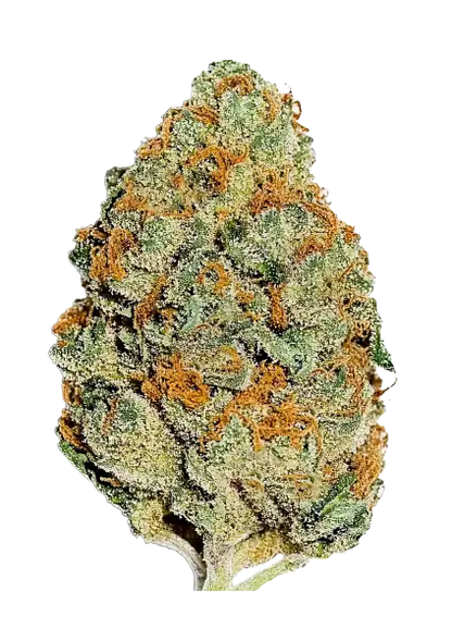 Lemon Mandarin