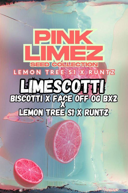 Limescotti Front Cover