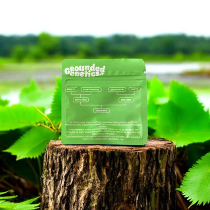 Limescotti Rückseite Seed Pack von Grounded Genetics